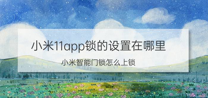 小米11app锁的设置在哪里 小米智能门锁怎么上锁？